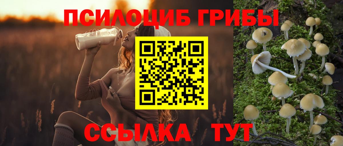 Галлюциногенные грибы GOLDEN TEACHER  где купить   Галлюциногенные грибы GOLDEN TEACHER  Кимовск  Вход с VPN 